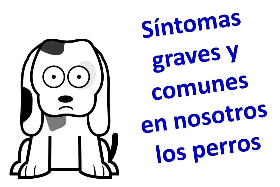 El parásito que destruye el hígado